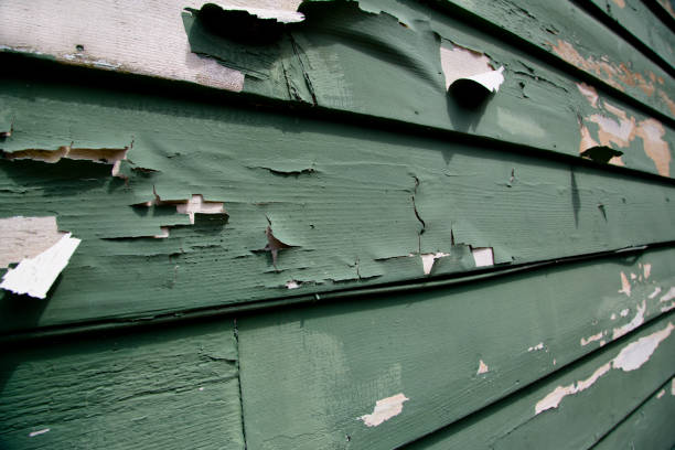 Best Residential Vinyl Siding Installation  in Bainbridge Island, WA