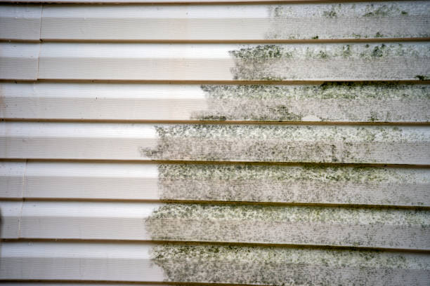Bainbridge Island, WA Siding Installation & Repair Company